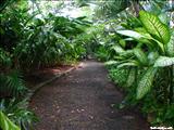 Aula Verde - SAN JUAN